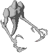 108216.gif
